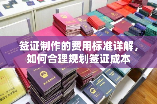 息烽签证制作的费用标准详解，如何合理规划签证成本